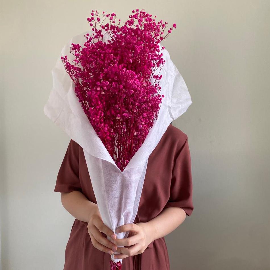 Importir [1 IKAT] Preserved Babybreath Grade A / Babybreath Kering Bunga Abadi Eternal Dried Flower 