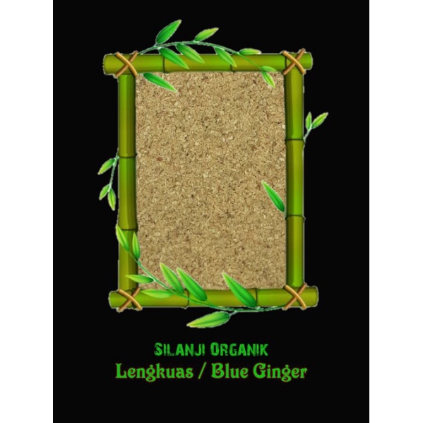 

Lengkuas / Blue Ginger 45g