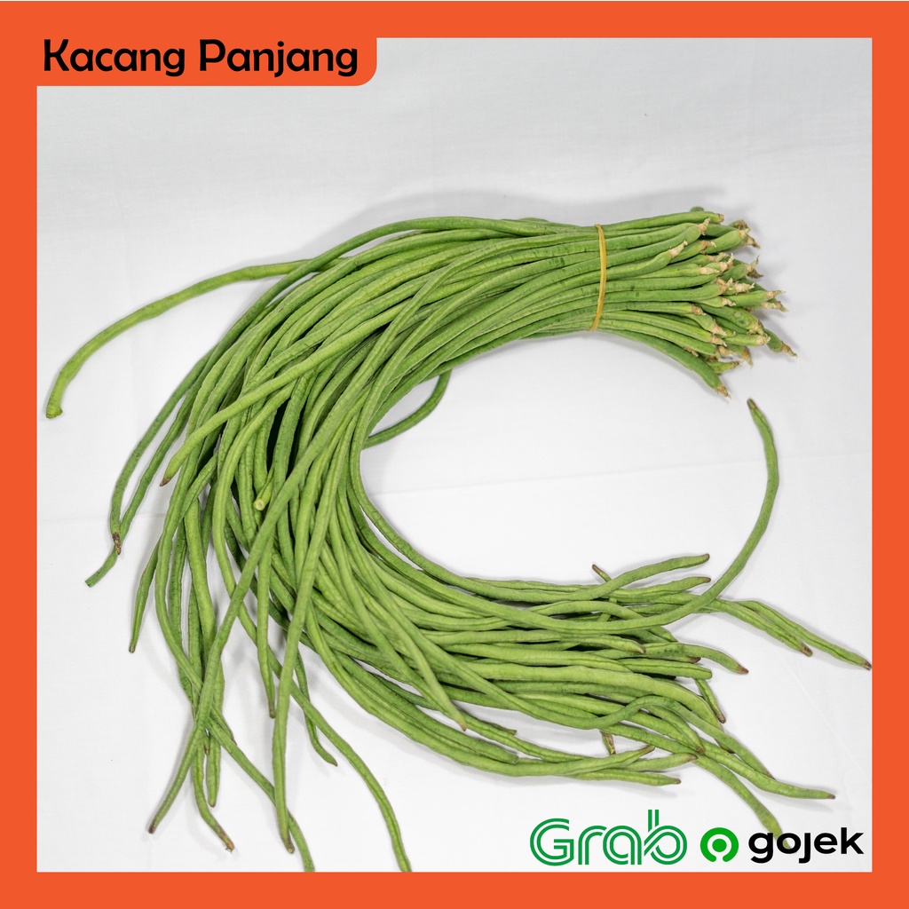 

Kacang Panjang 1 kg