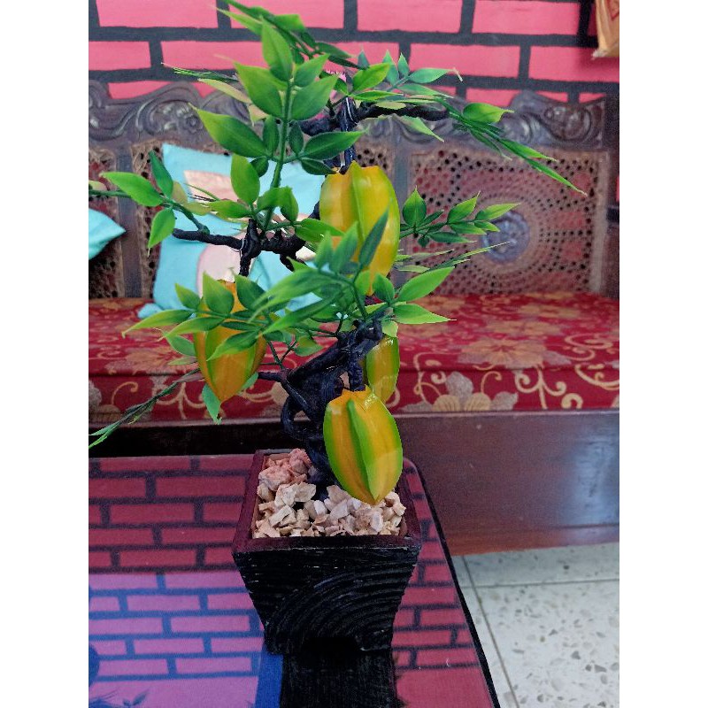 tanaman buah palsu plus pot kayu