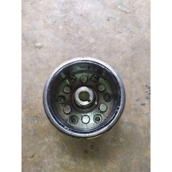 Magnet Tiger Revo original