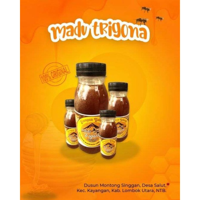 

Madu Trigona Rinjani 500gr