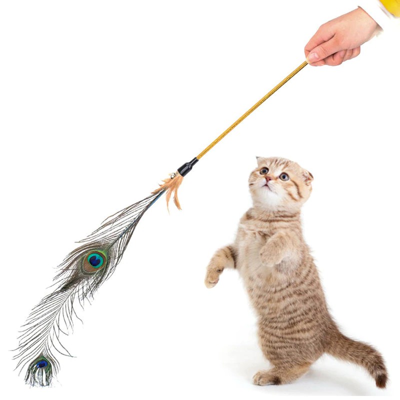 PREORDER Pet Cat Feather Toy bells Cute Design Wire Feather Teaser Wand Plastic Toy Cat Play