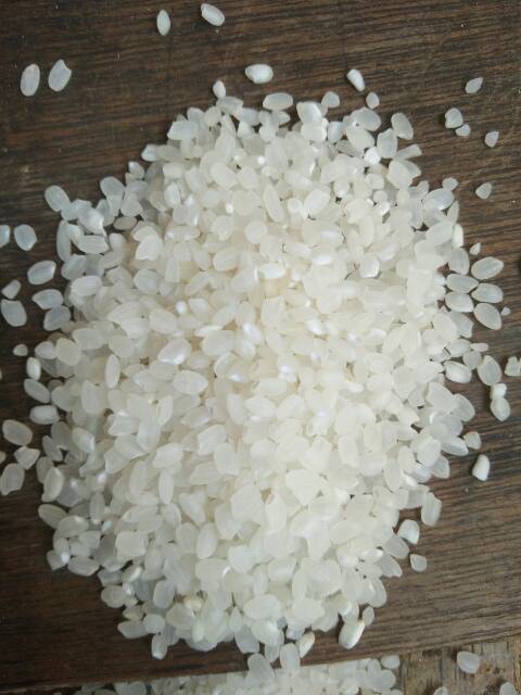 

BERAS JEPANG JAPONICA TARABAS