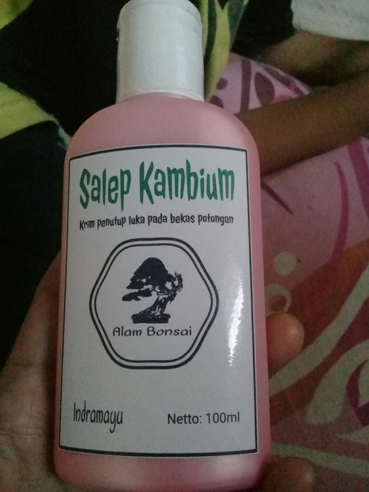 Salep Kambium Bonsai Kemasan 100ml