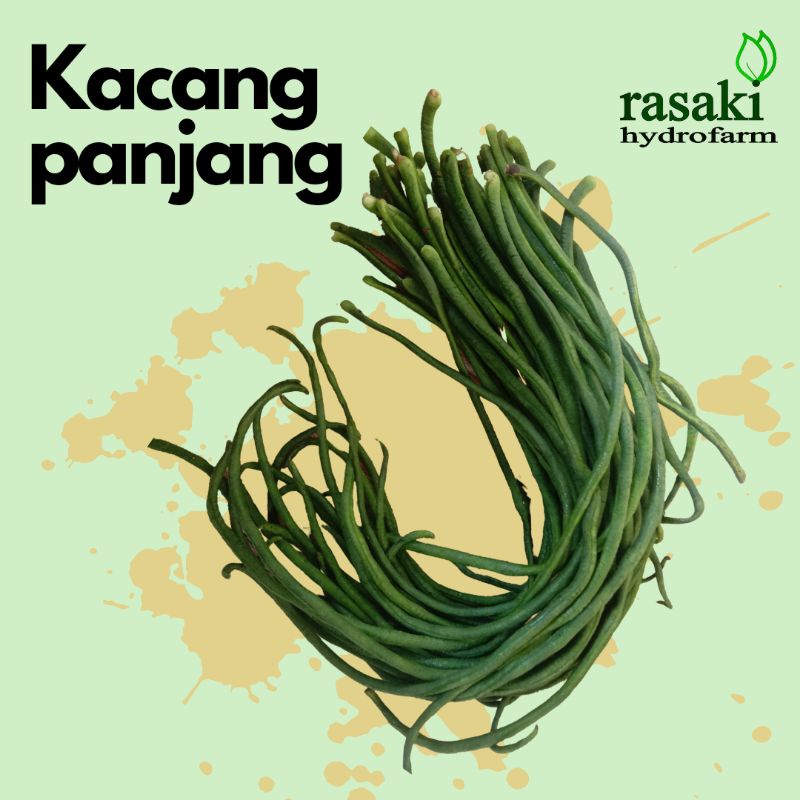 

sayur segar kacang panjang 500gr