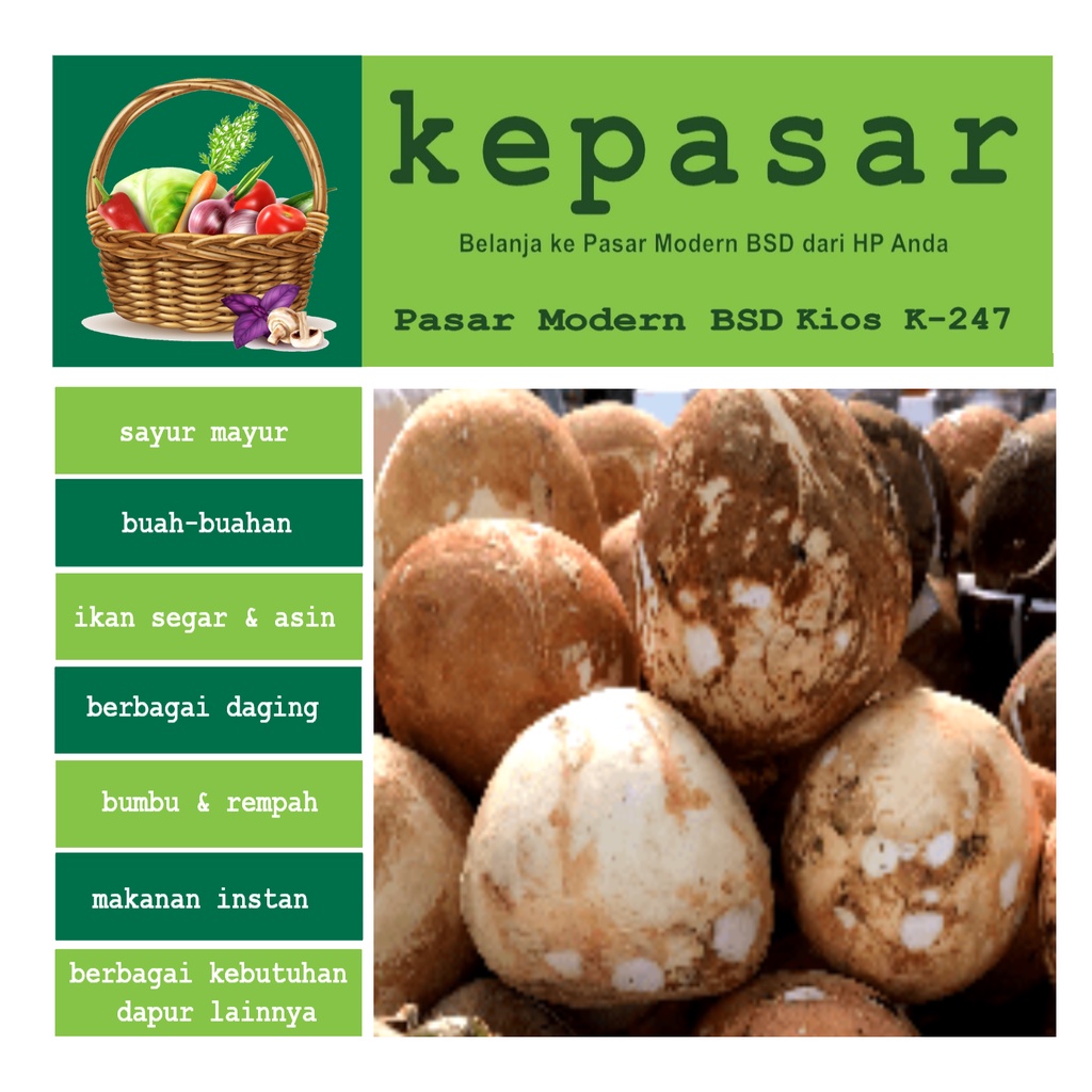 

Kelapa 1 Buah