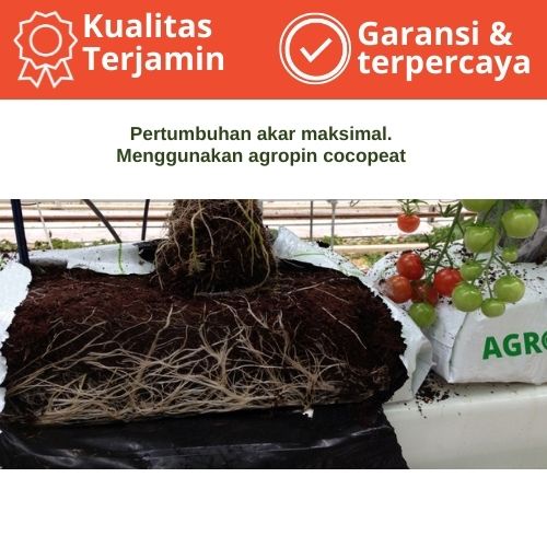 Media tanam coco peat mengembang 6x dari ukuran semula