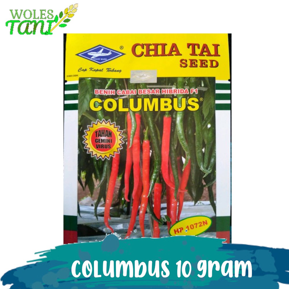 Benih Cabai Cabe Columbus 10 Gram