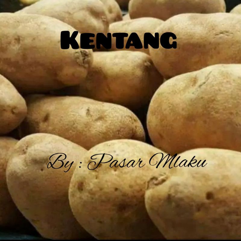 

KENTANG 500 - 1 KG