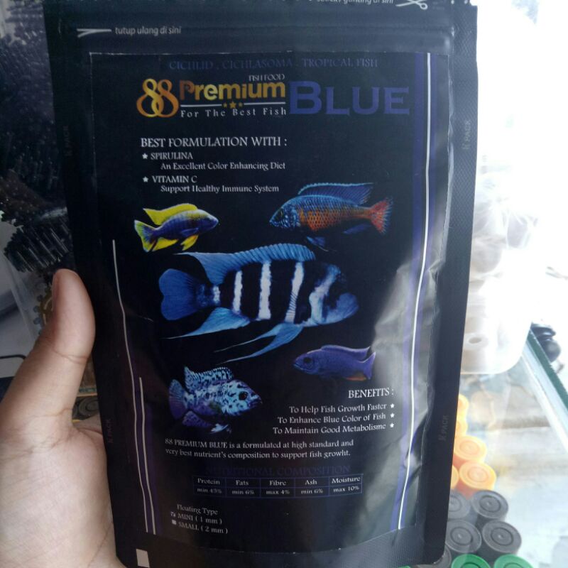 premium 88 blue cichlid