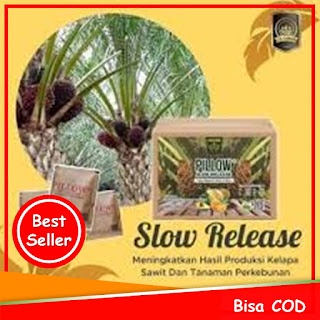 Jual Pupuk Kelapa Sawit Karet Durian Kelengkeng Alpukat Durian Cengkeh Mangga Apel Kurma Pillow Slow Release Di Jayapura