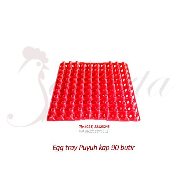 Promo Rak telur Puyuh untuk mesin penetas telur egg tray plastik Murah