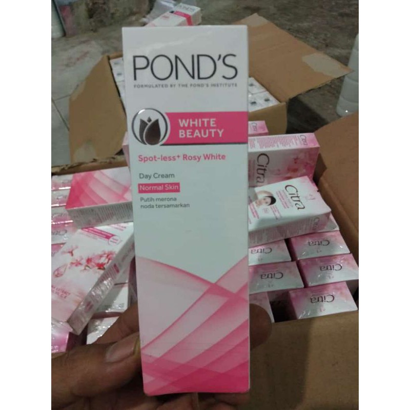 citra n pons