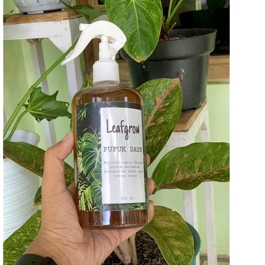 ㅓ PROMO pupuk daun organik cair Leaf grow - pupuk siap pakai 500ml - Nutrisi tanaman aglonema caladium alocasia - vitamin tanaman leafgrow - tanaman hias ㊟