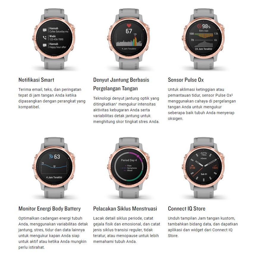 Garmin Fenix 6S Series