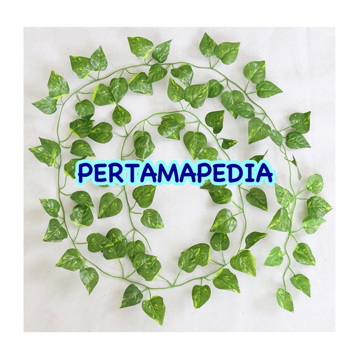DISKON DAUN RAMBAT PLASTIK/ DAUN RAMBAT PALSU/ DAUN RAMBAT SINTETIS 