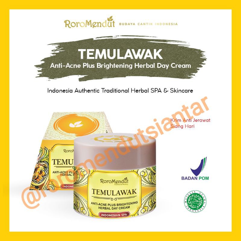 TEMULAWAK DAY CREAM RORO MENDUT