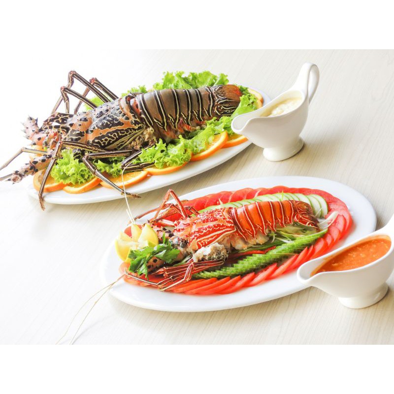 Lobster Laut 1 kg size 100-200gr/pcs isi 6-9 ekor