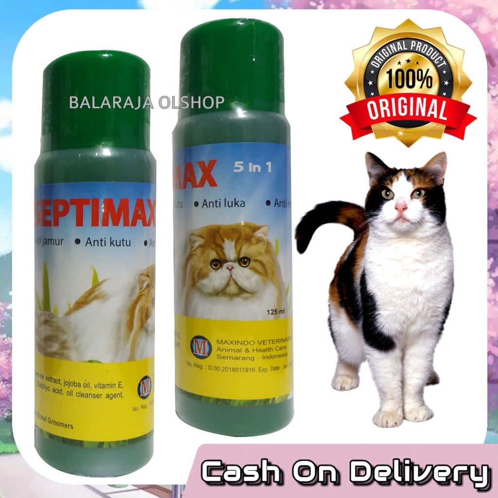 Sampo Kucing Anti Kutu Jamur Luka Bakteri Penghilang Noda Minyak 5 In 1 Septimax 125ML