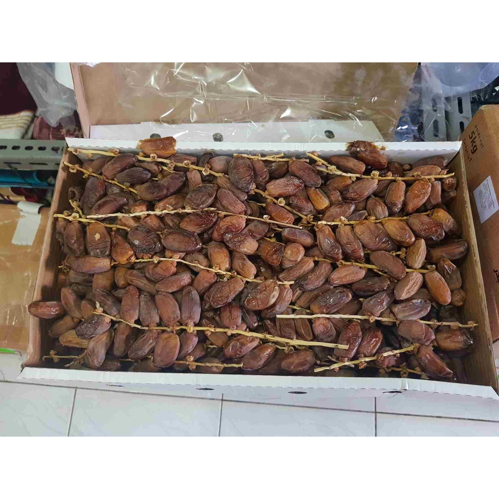 

KURMA TANGKAI EL-BADR(1 dus)