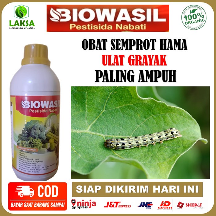 PROMO Pestisida BIOWASIL Pembasmi Hama Ulat Grayak - Pestisida Biowasil Pengendali Hama Pemakan Daun