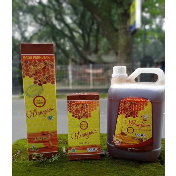 

Madu Perhutani Original
