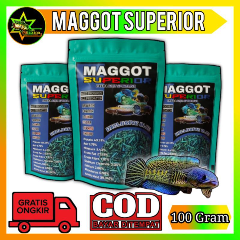 Pakan  pulchra MAGGOT BLUE SUPERIOR