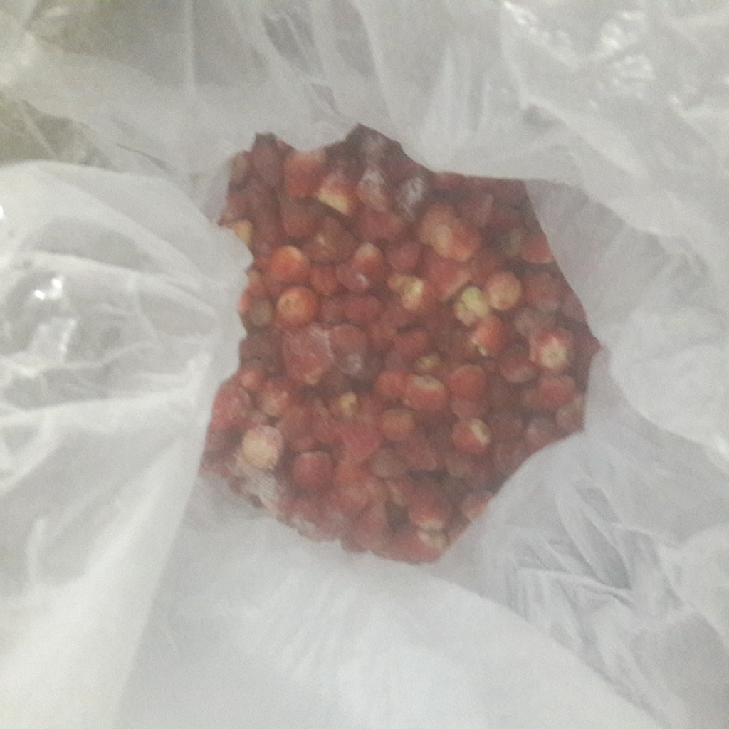 

Strawberry Frozen 250gr Frozen Fruits