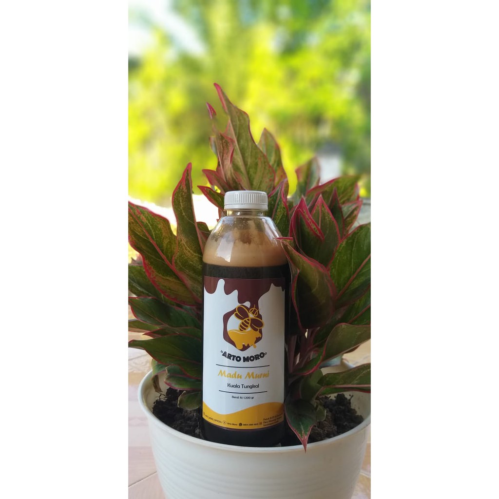 

MADU MURNI ARTO MORO