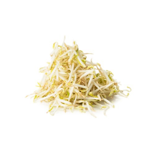 

Tauge/Toge 250gr