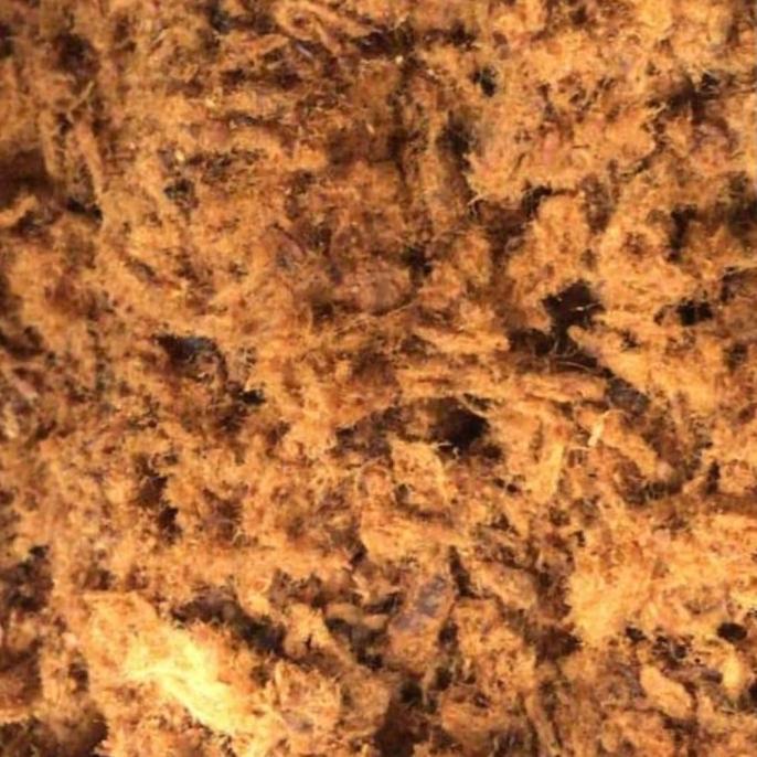 

Abon Sapi Daging Asli 100% Daging Asli 500Gr Berryolshop42