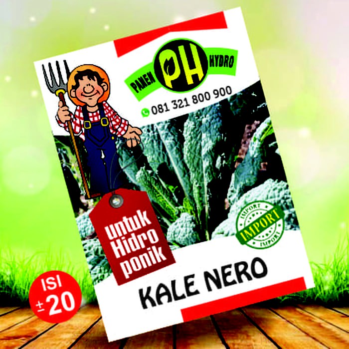 BENIH BIBIT KALE NERO KHUSUS HIDROPONIK