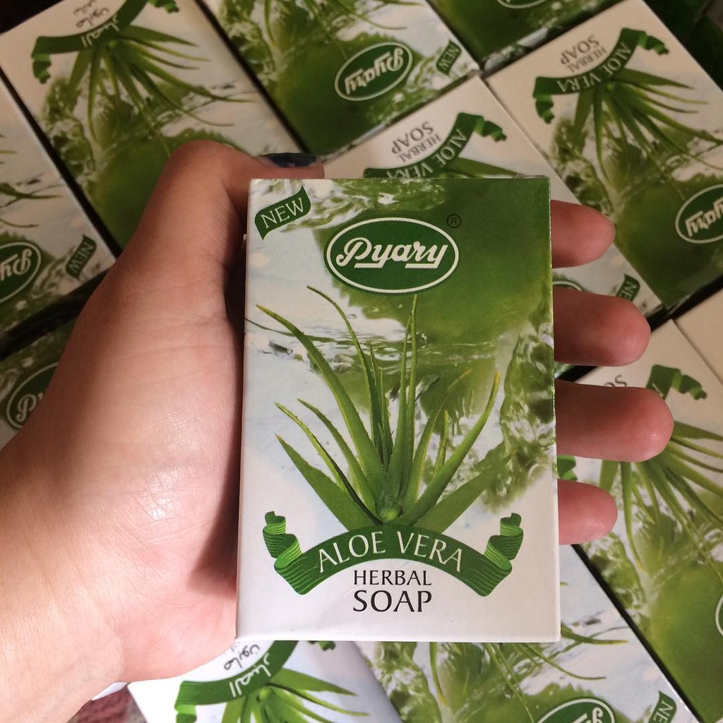 SABUN PYARY ALOE VERA || SABUN LIDAH BUAYA 100 % ORIGINAL