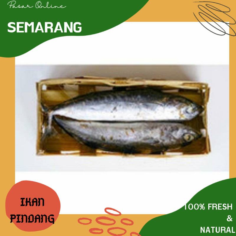 

Ikan Pindang Salem / Ikan Pindang Enak / Ikan Murah / Belanja Ikan Semarang / Smg / Fresh / Segar