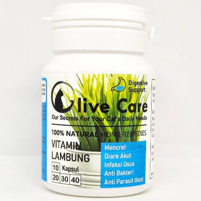 Paket Resseler Vitamin Kucing Olivecare Vitamin Kucing Mencret Diare Vitamin Kucing Susah Makan Shopee Indonesia