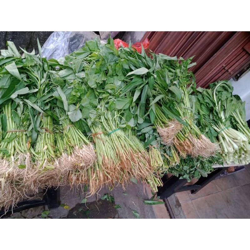 Sayuran Daun Kacang, Daun Pepaya Jepang, Daun Genjer dan Kenikir