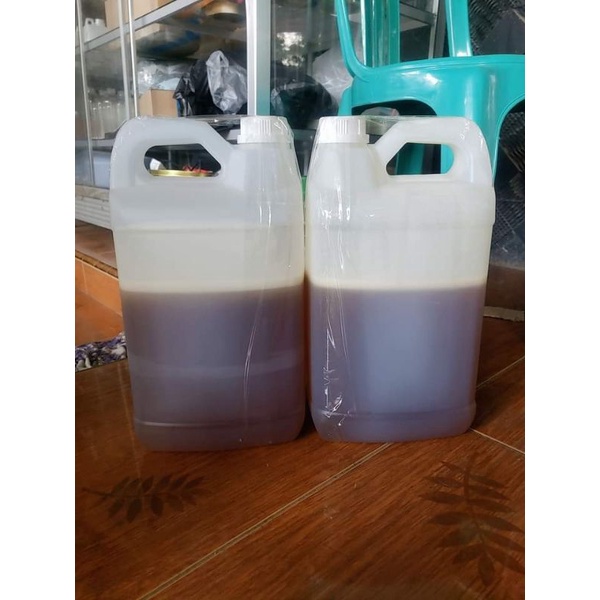 

GROSIR Madu Murni 5 Kg Nektar Multiflora Kualitas Premium.
