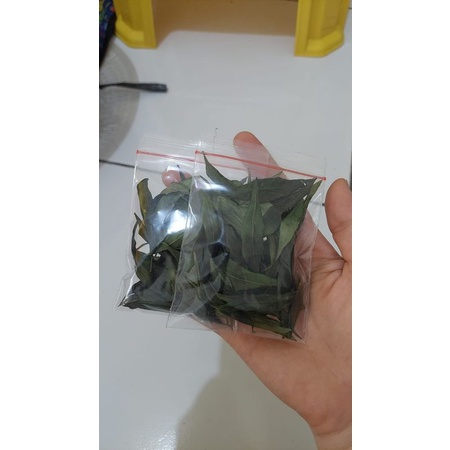 

Daun herbal sambiloto