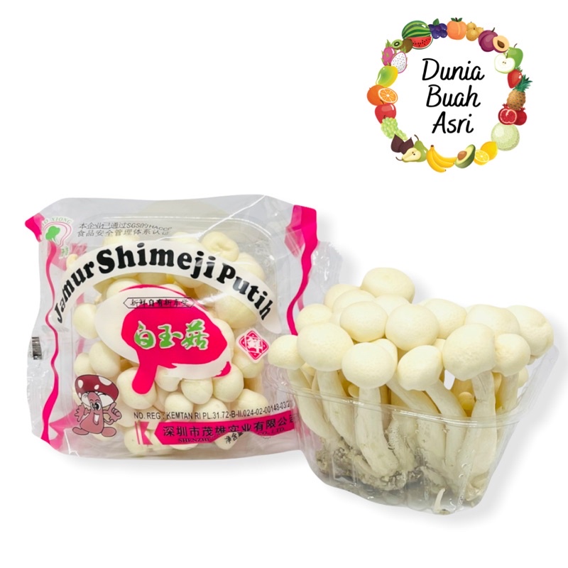 

Jamur Shimeji Putih 1 Pack