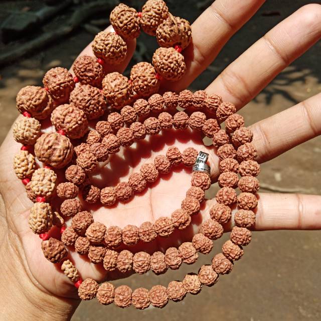 Jenitri rudraksha mukhi 1 - mukhi 10 plus ganesha kalung