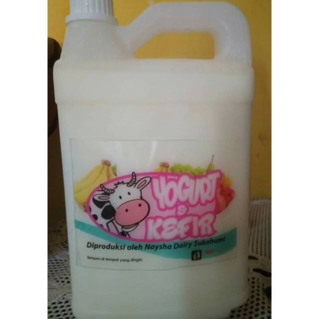 

Susu Kefir