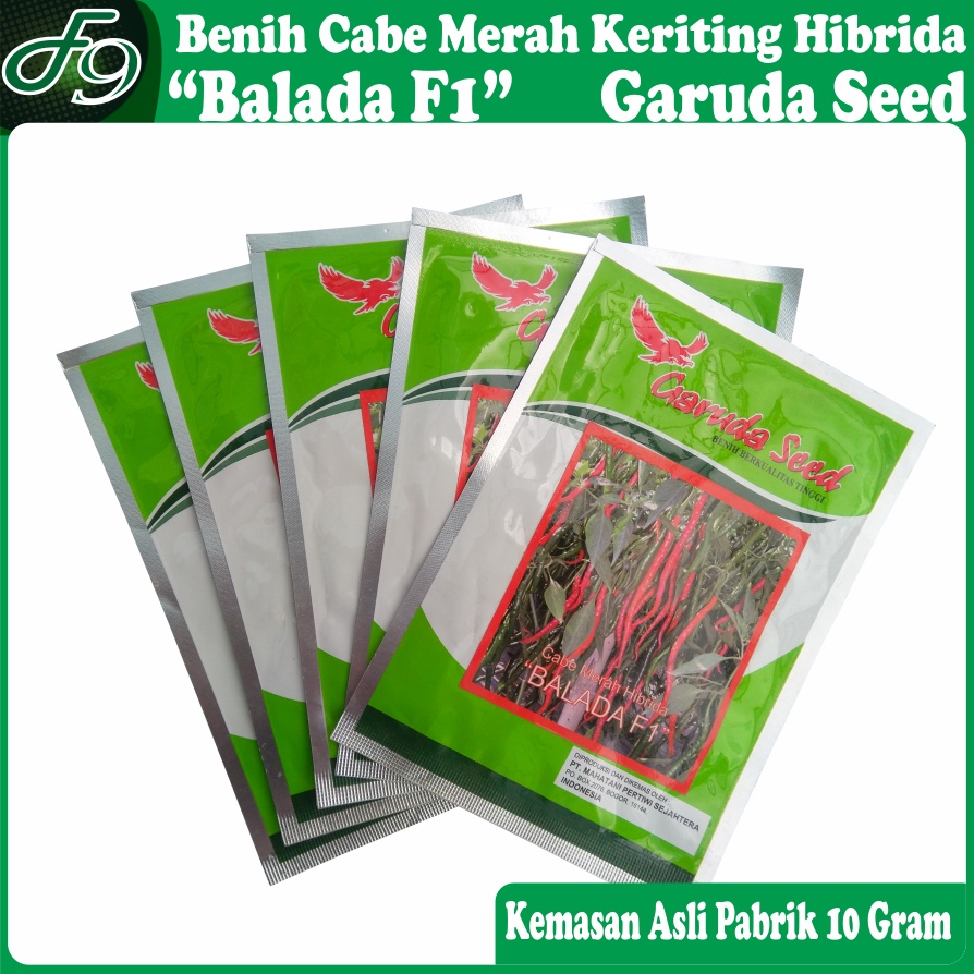 Benih Cabe Merah Keriting Hibrida Balada F1 Bibit Cabai Garuda Seed