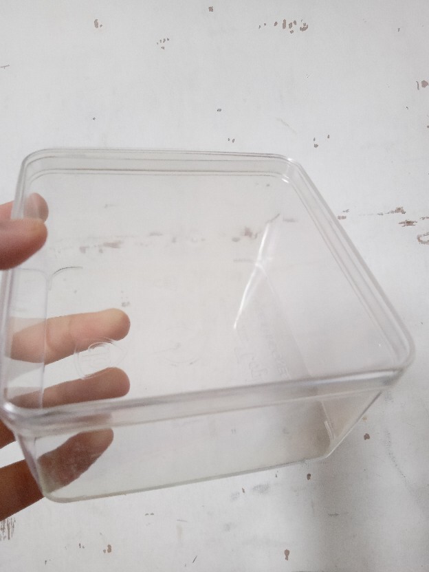 12 Pcs Dessert Box / Toples Nastar Kue Kering Persegi Plastik Mika