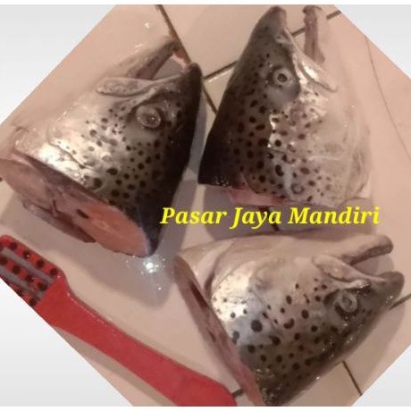 

kepala ikan salmon fresh 1000 gram