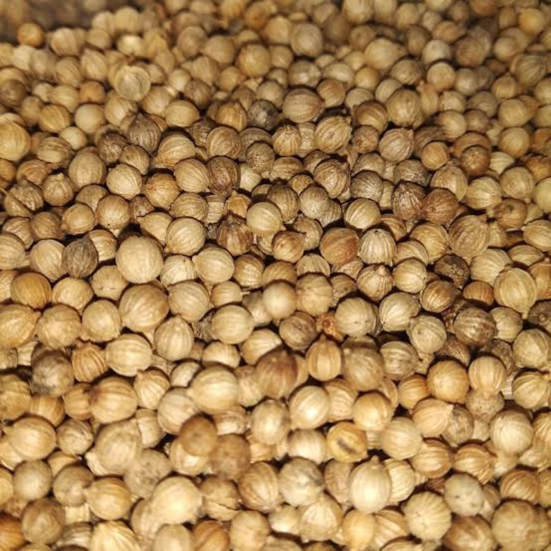 

bumbu dapur (ketumbar)