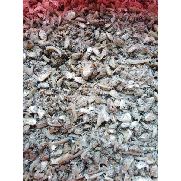 

remukan teri 1kg