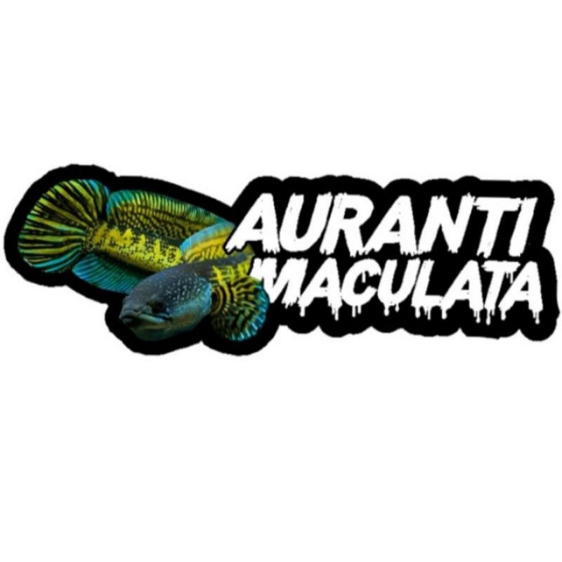 STICKER AURANTI MACULATA