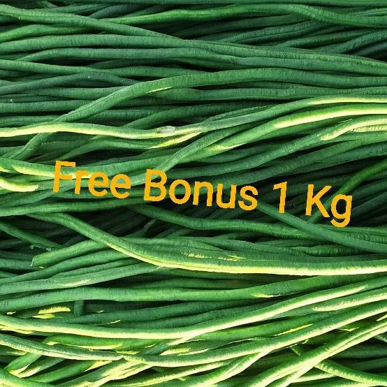 

Kacang Panjang 1 kg + Gratis Bonus