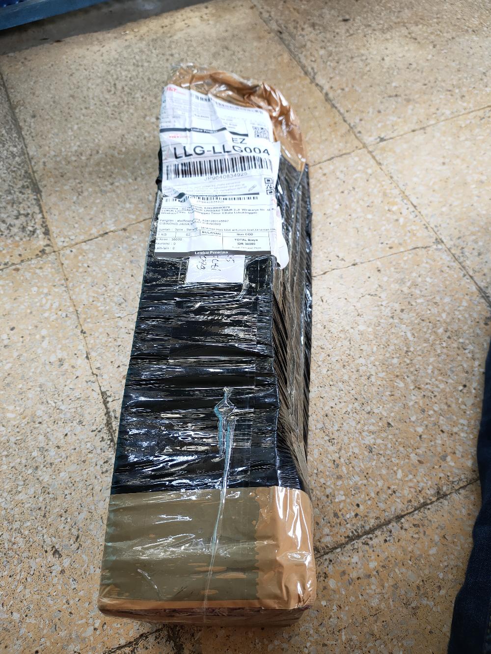 Tanaman Hias Aglonema Ruby Orangen